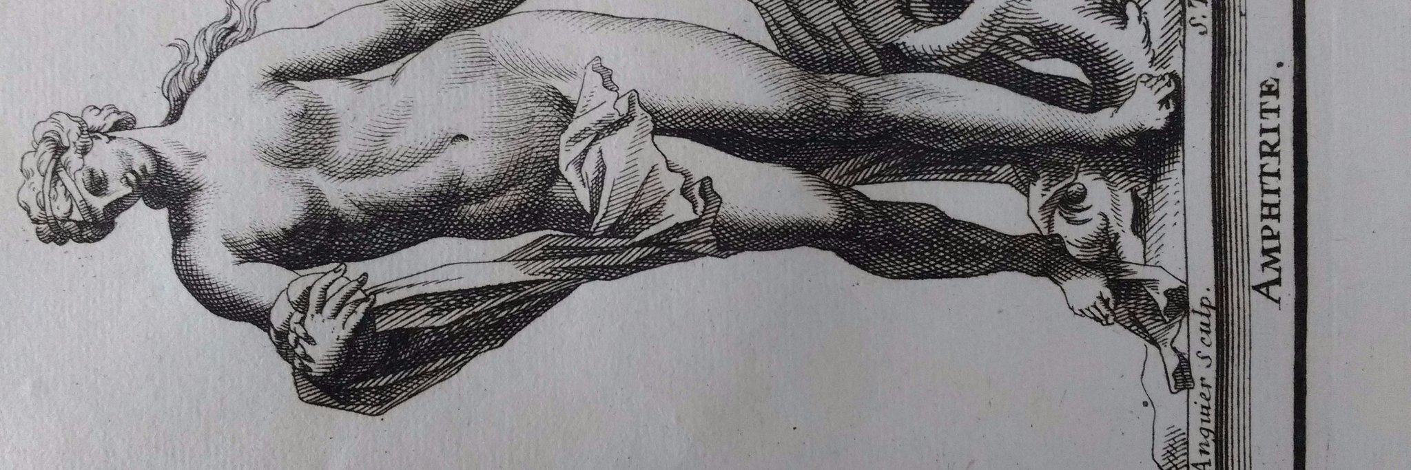 FranTrombetta's profile banner image