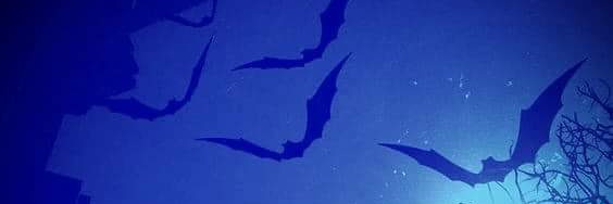 Blue Hawk 🖤🎭💙 banner