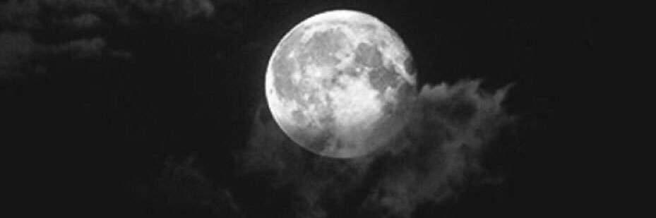 Dxx130's profile banner image
