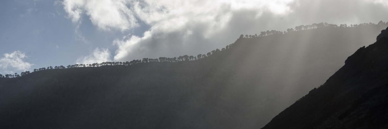 Eduardo Negrín banner