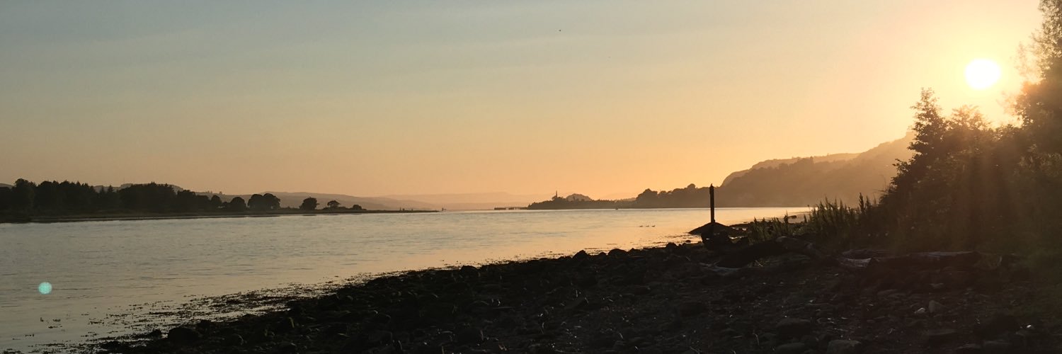 lucysmorrison_'s profile banner image