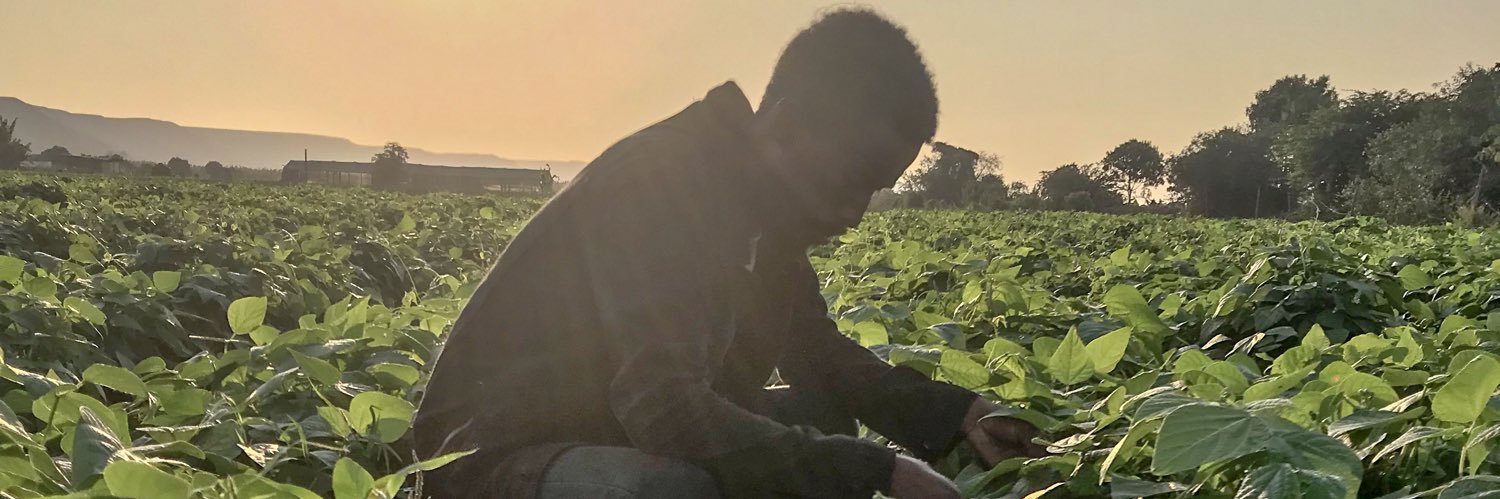 RuiJAMachado's profile banner image