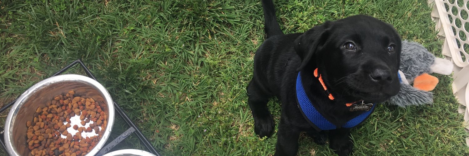 BaileaMarie's profile banner image