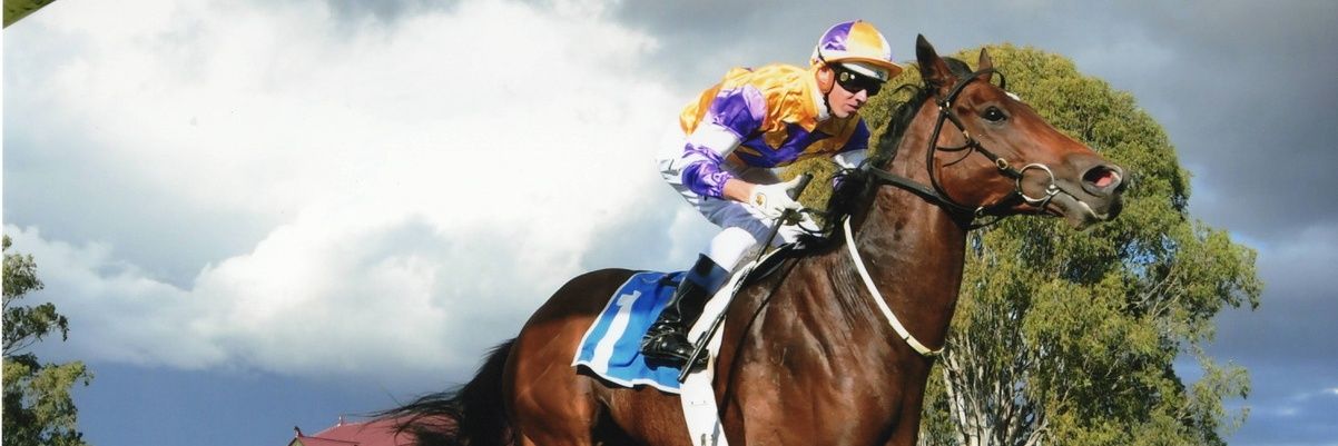 MJV511's profile banner image