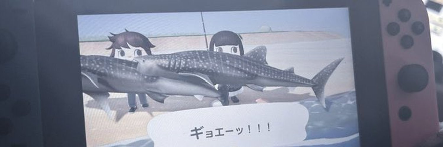 お banner
