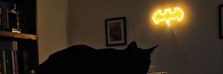 Salem's Survivor's banner