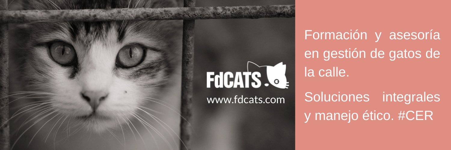 FdCATS banner