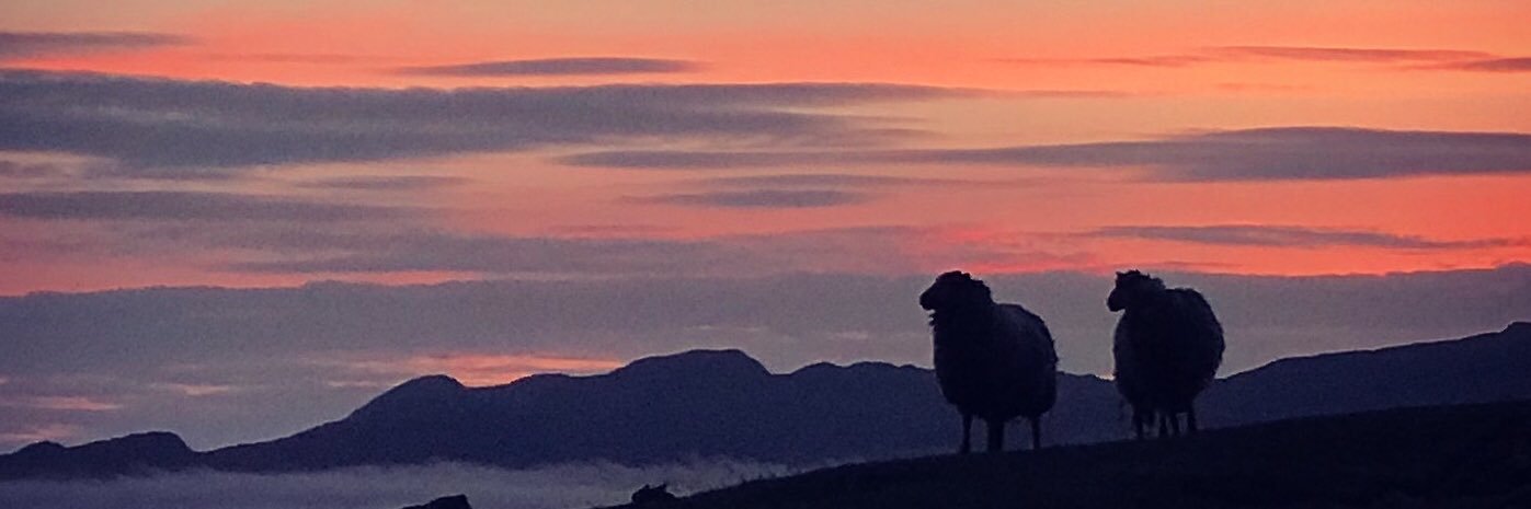 thymetoeatscot's profile banner image