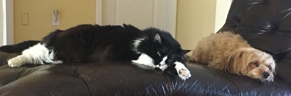 timhager83 Profile Banner