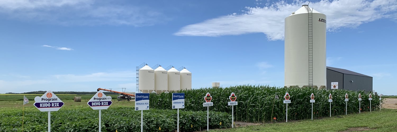 SynergySeeds's profile banner image