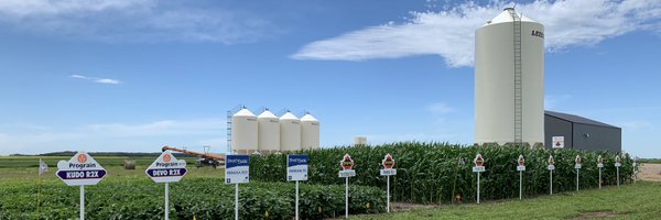 SynergySeeds Profile Banner