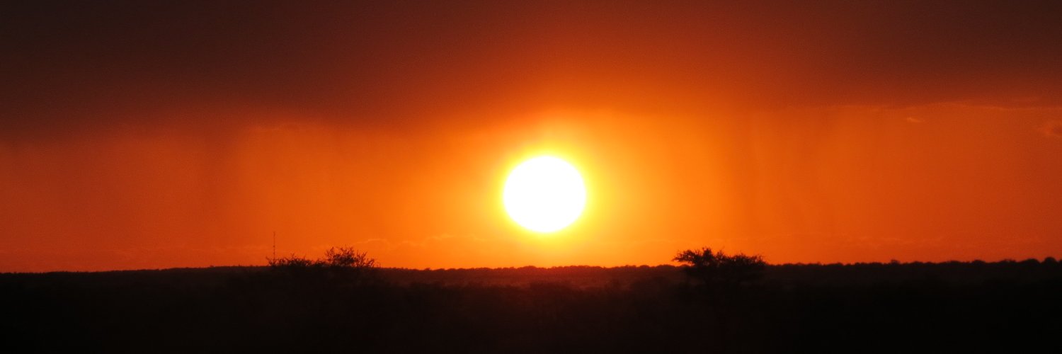 Irene Garcia-Ruiz banner