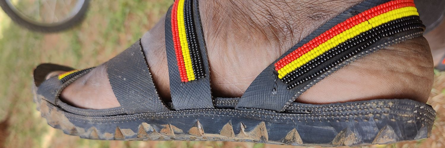 Longoli Simon Echubit banner