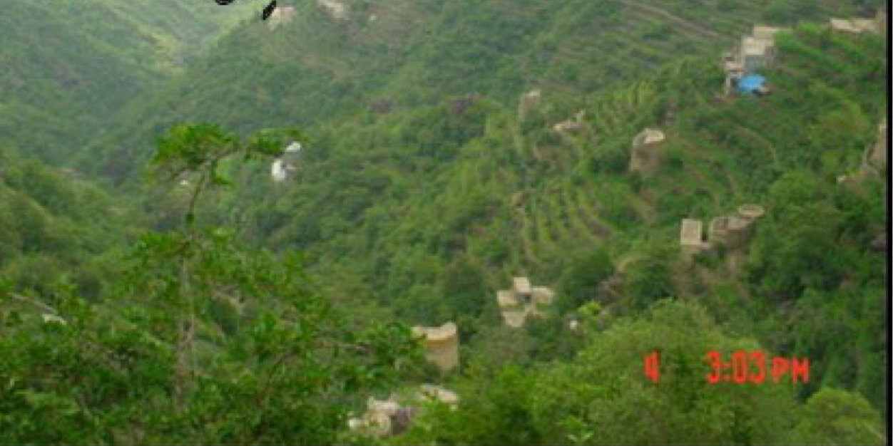alkadi1966's profile banner image