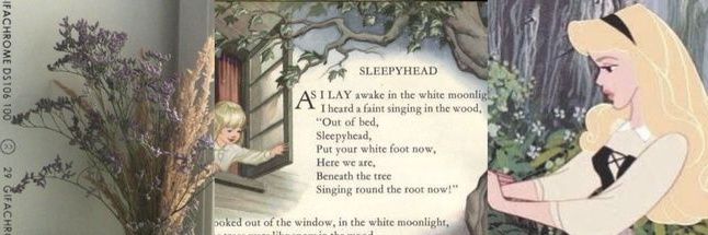 𝗍𝖺𝗆𝗂 ♥︎ ☽̶☾ banner