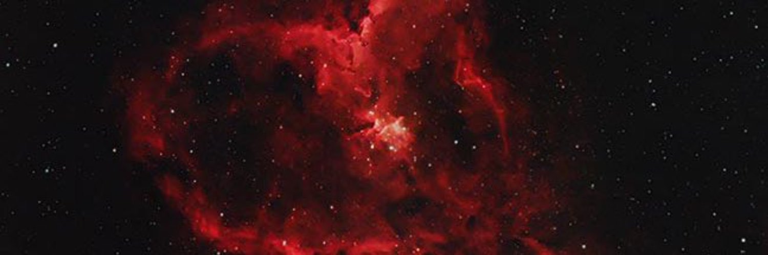 withoutfaking's profile banner image