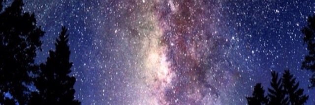 chevjohnsons's profile banner image