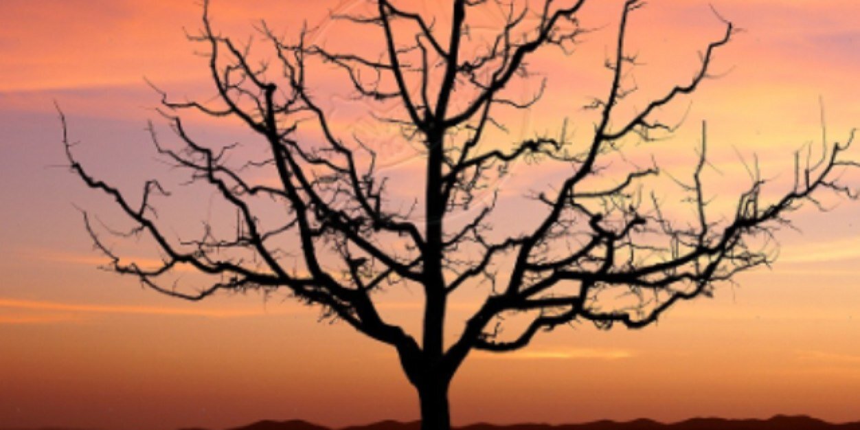jake_owen33's profile banner image