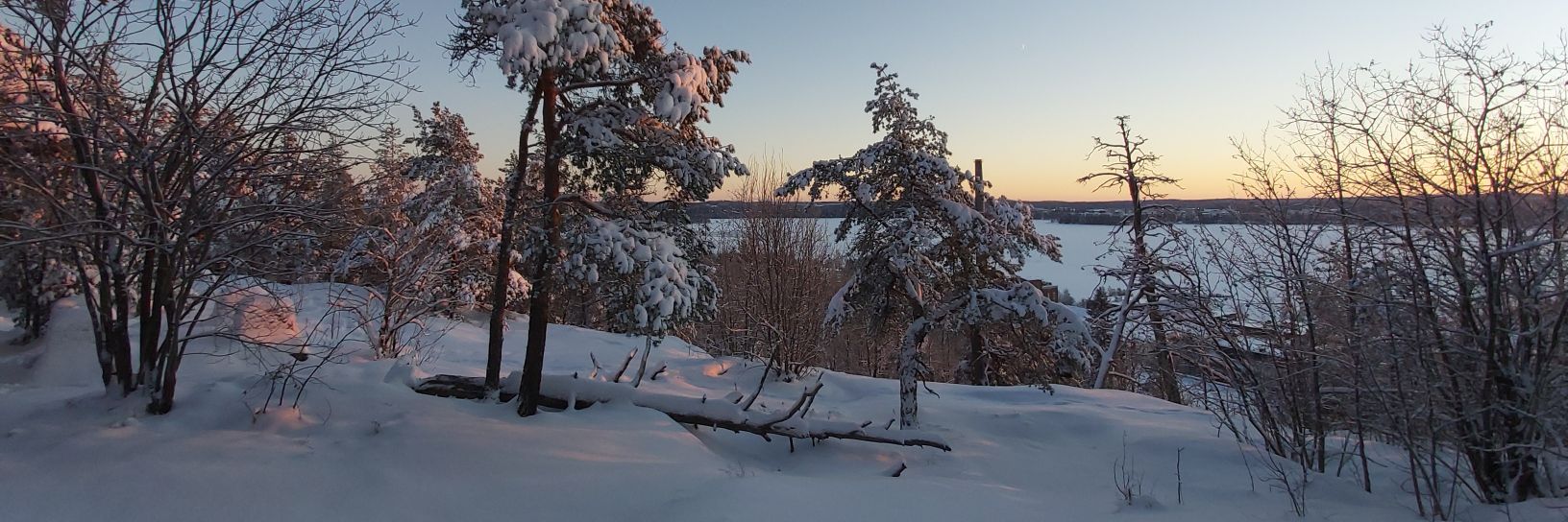 baldand's profile banner image