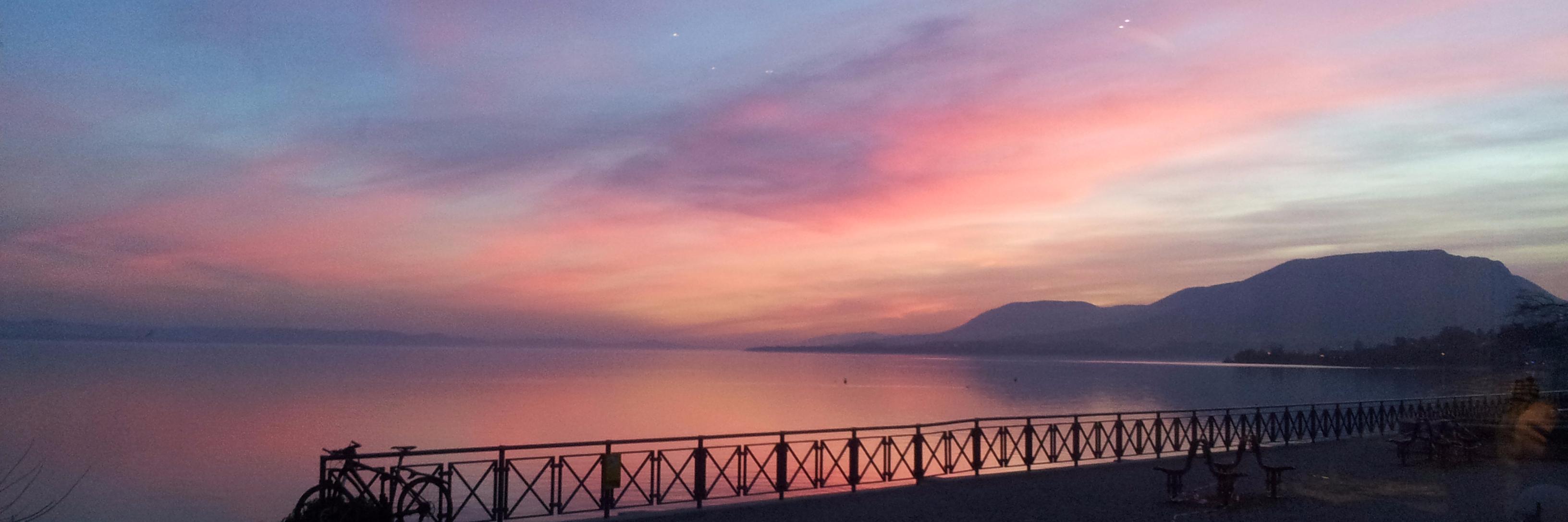 NouraKayal's profile banner image