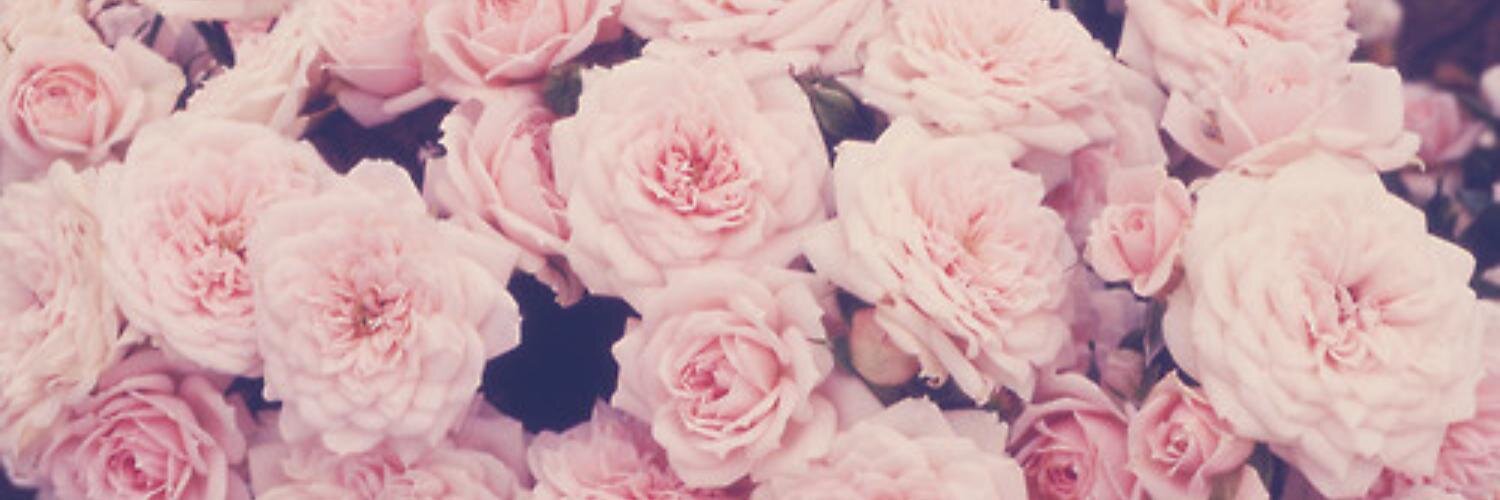 cellaMarselina's profile banner image