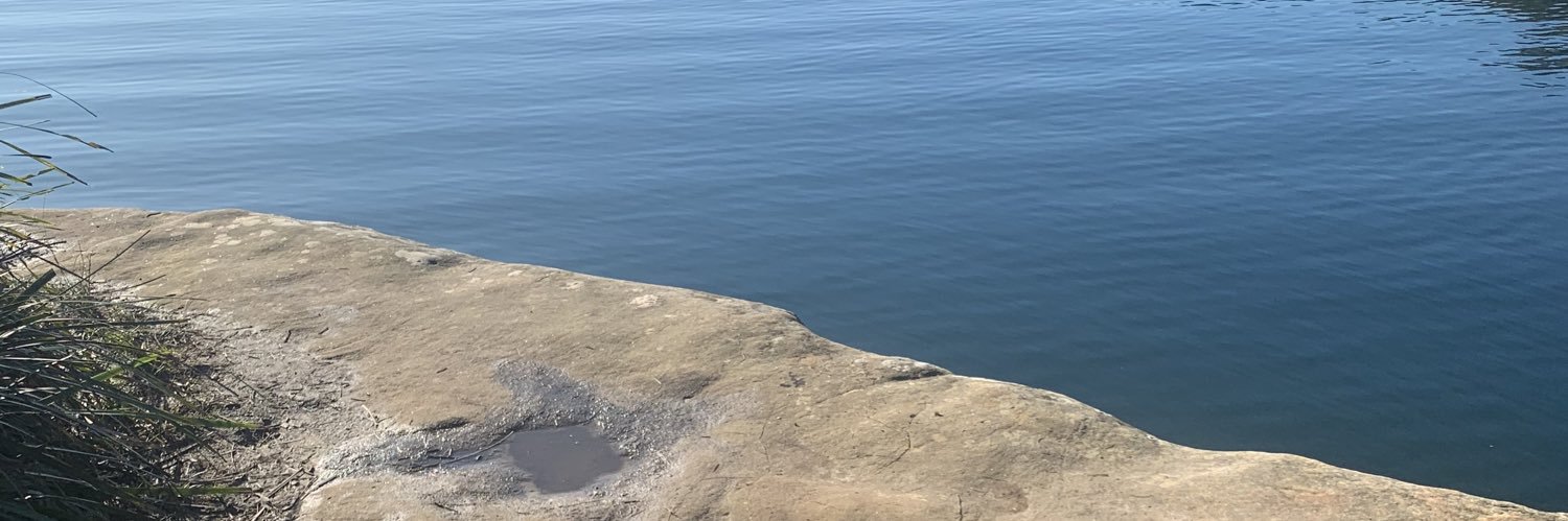 DebbieBee20's profile banner image