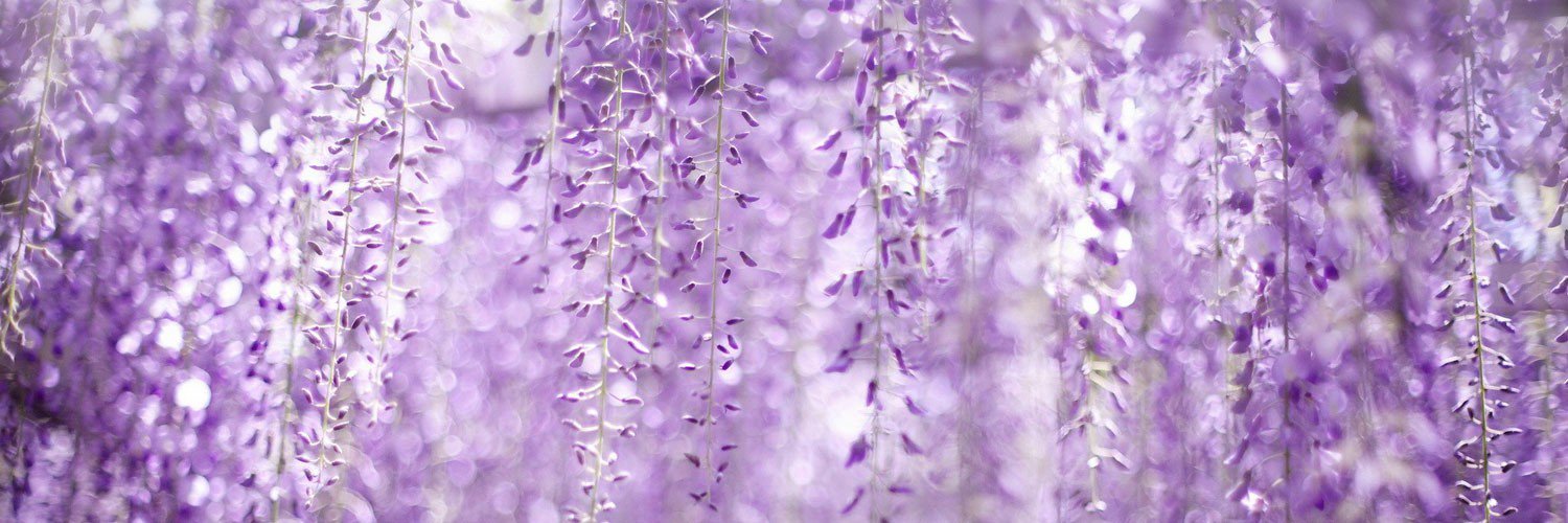 toyota331's profile banner image