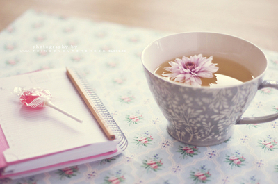 nesaputri's profile banner image