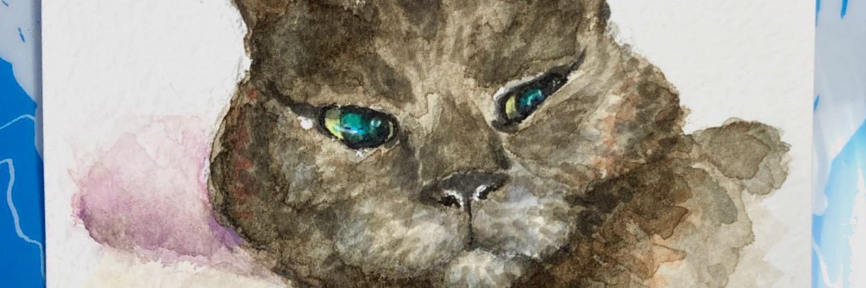 asyuracat's profile banner image