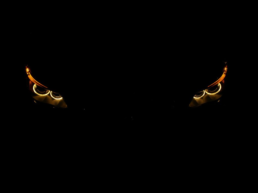 rendybrillian's profile banner image