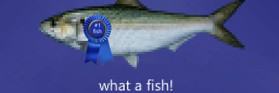 Marine Biology Shitposts banner