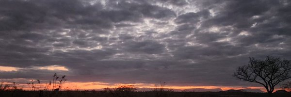 DrunkNorm Profile Banner