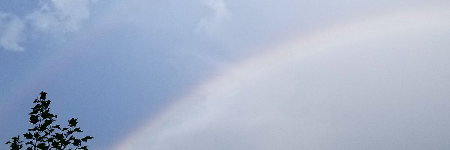 stylandscott's profile banner image