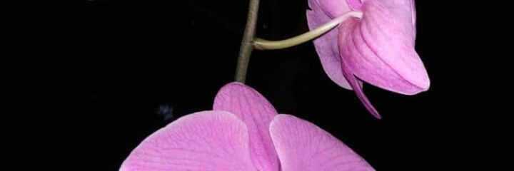 gmail_aliii's profile banner image