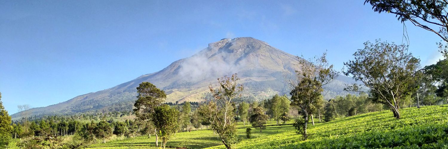 sapuwidi's profile banner image