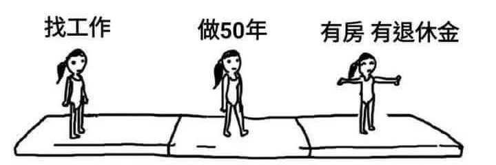 野貓 banner