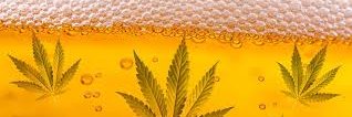 leafandbeer's profile banner image