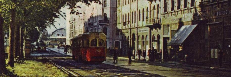 Davis Freibergs 🌻 banner