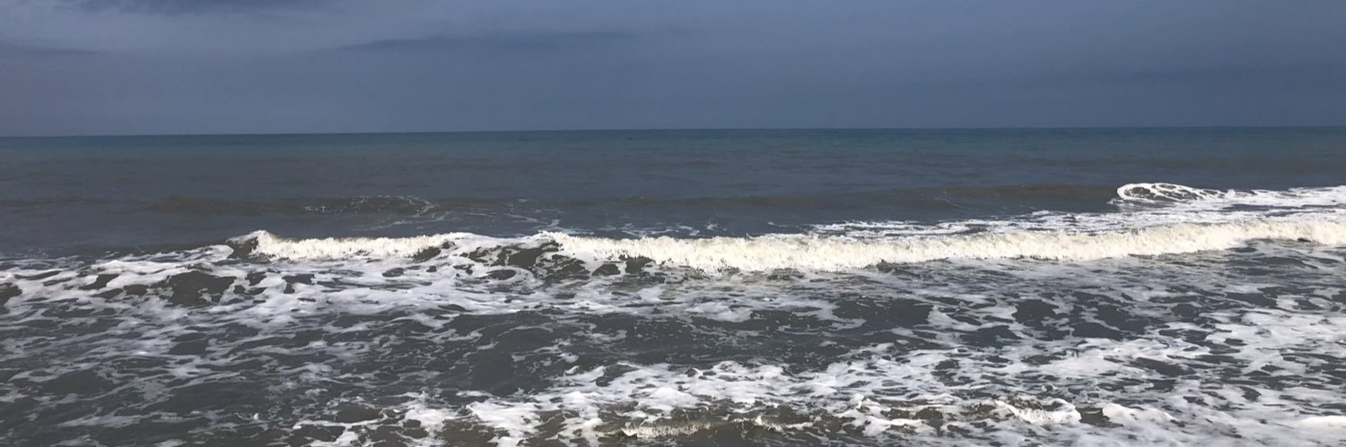 Blue Sonya 💙 banner