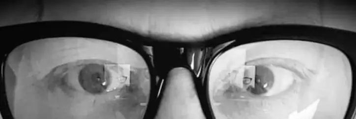 wendy lee wagner banner