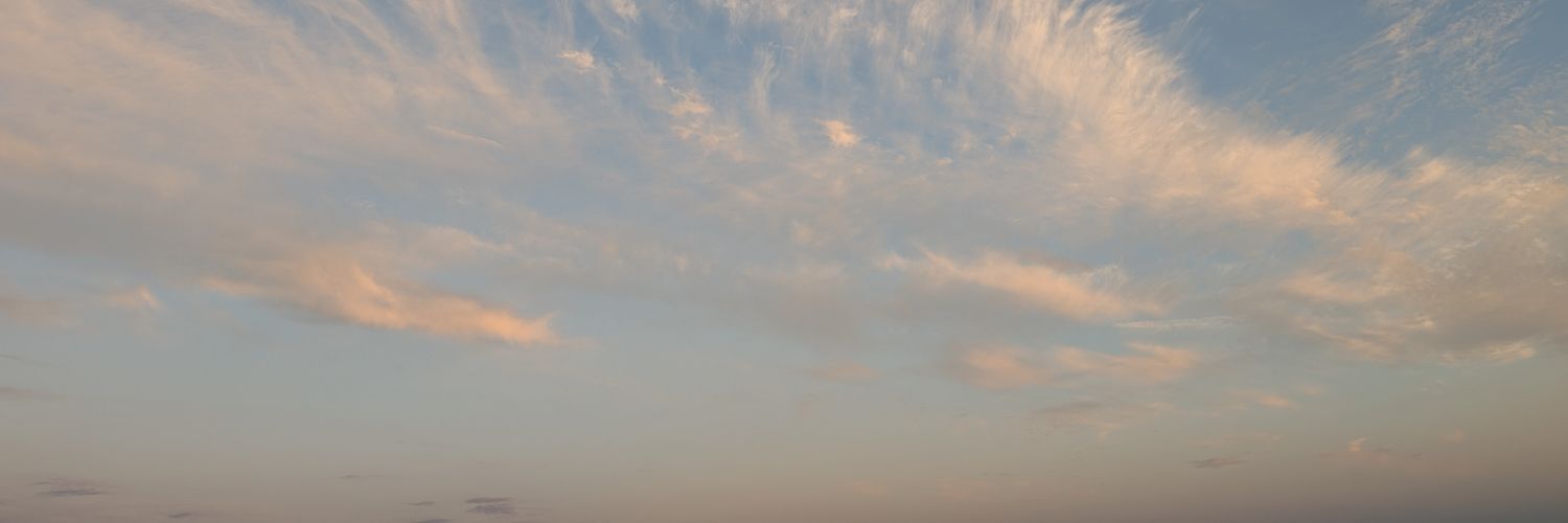 roneirus's profile banner image