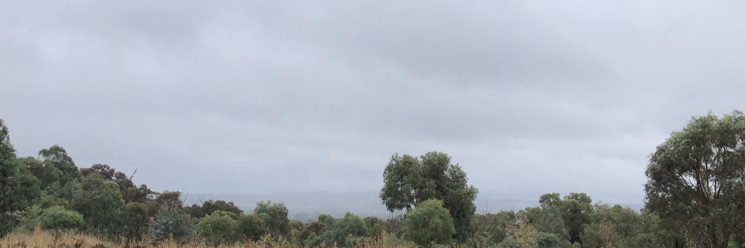 mummycrit's profile banner image