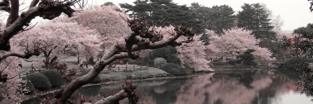 瑛's banner