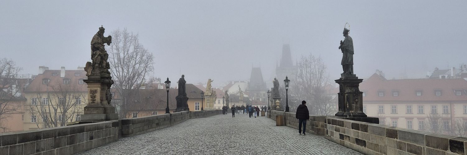 Ricardo Ruiz-Villaverde banner