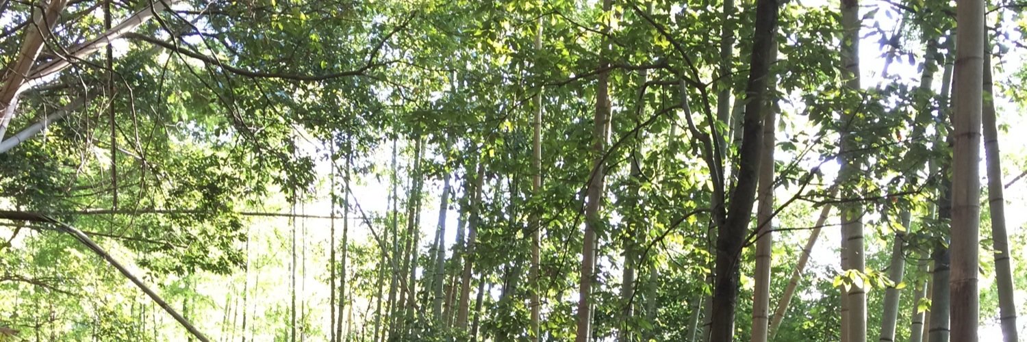 aquatedy's profile banner image