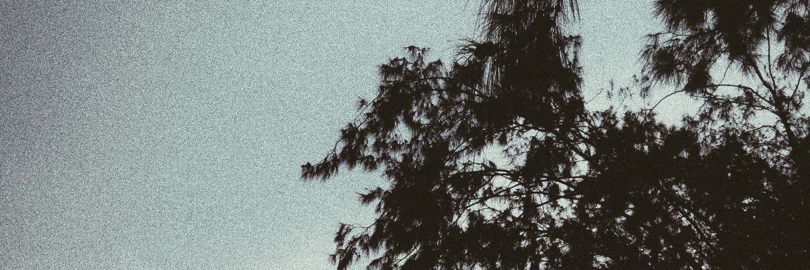 𝙢𝙤𝙘𝙘𝙖 banner