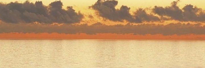 cintiyp's profile banner image