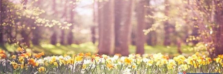 Mrs_M_SEND's profile banner image