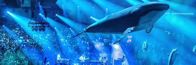 deuce1307.base.eth 🎹🎸⭕🌵 banner