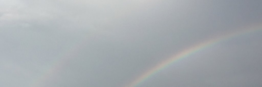 jun_pei's profile banner image